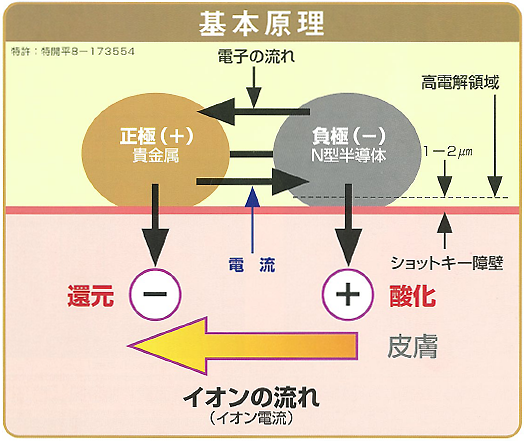 イオンセル療法の基本原理
