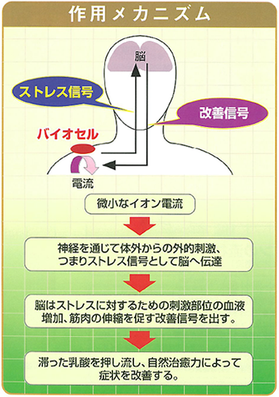 作用メカニズム