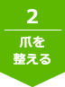 2.爪を整える