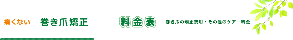 痛くない巻き爪矯正　料金表　巻き爪の矯正費用・その他ケア―料金